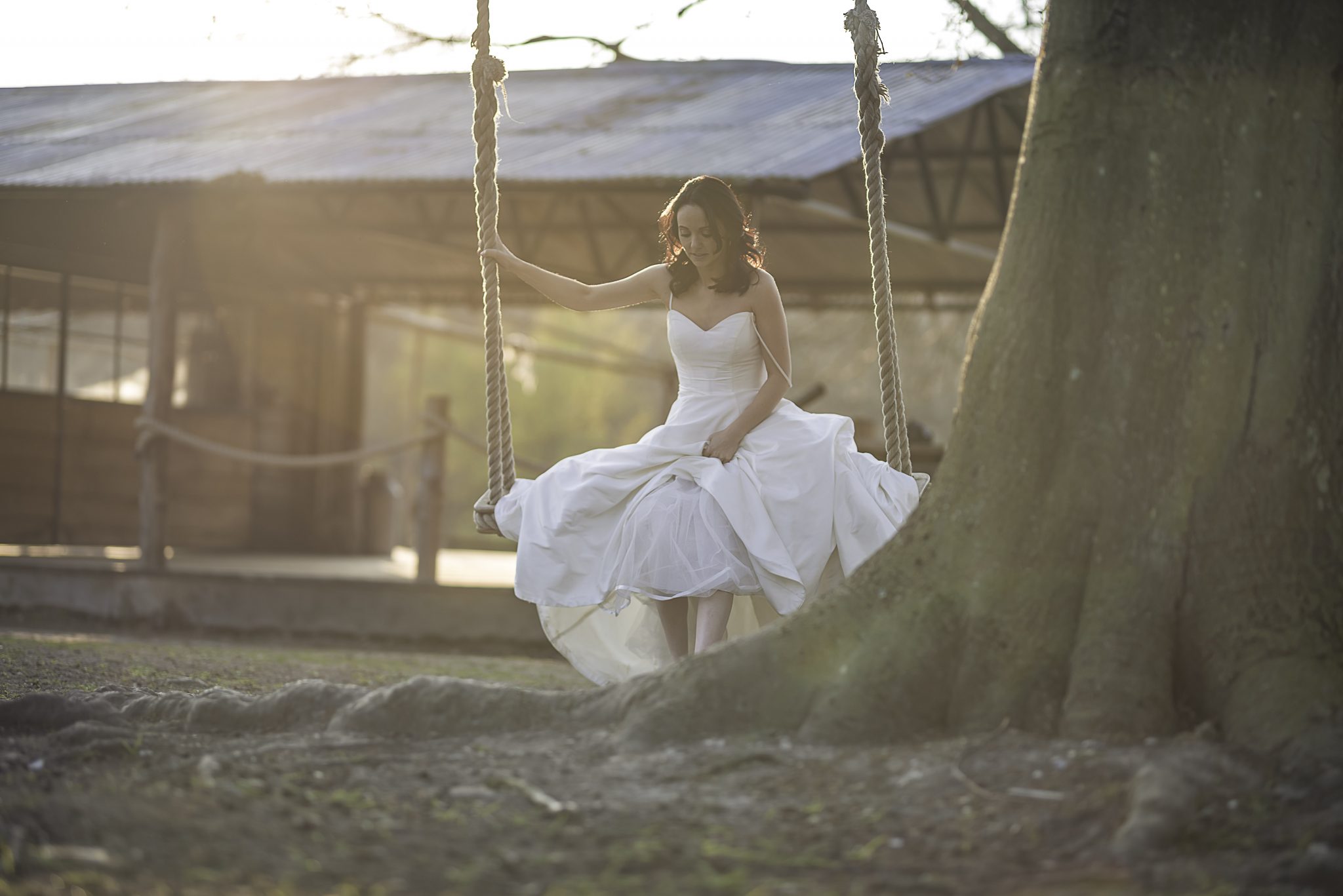 Bride on the swing at the Dreys woodland wedding venue